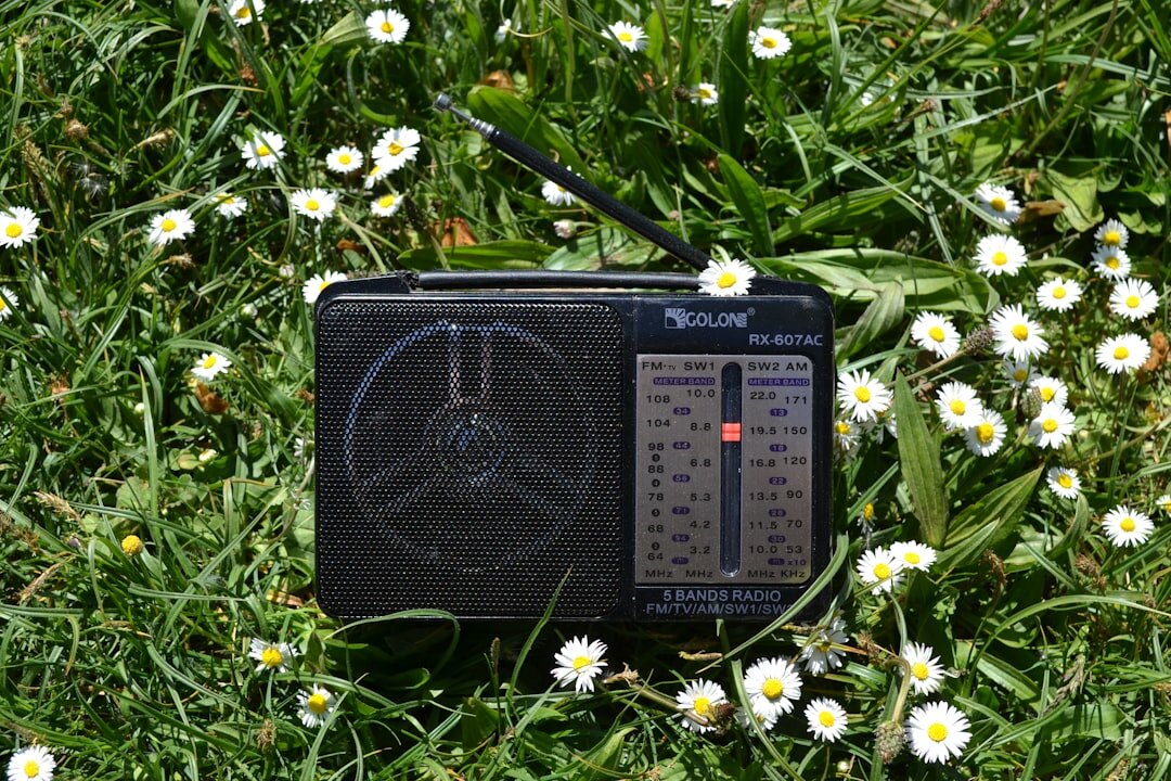 remote village radio listener